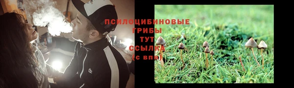 прущая мука Балабаново