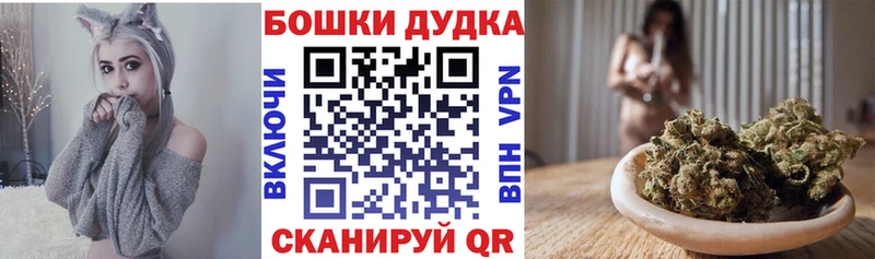 Конопля сатива где найти Белёв